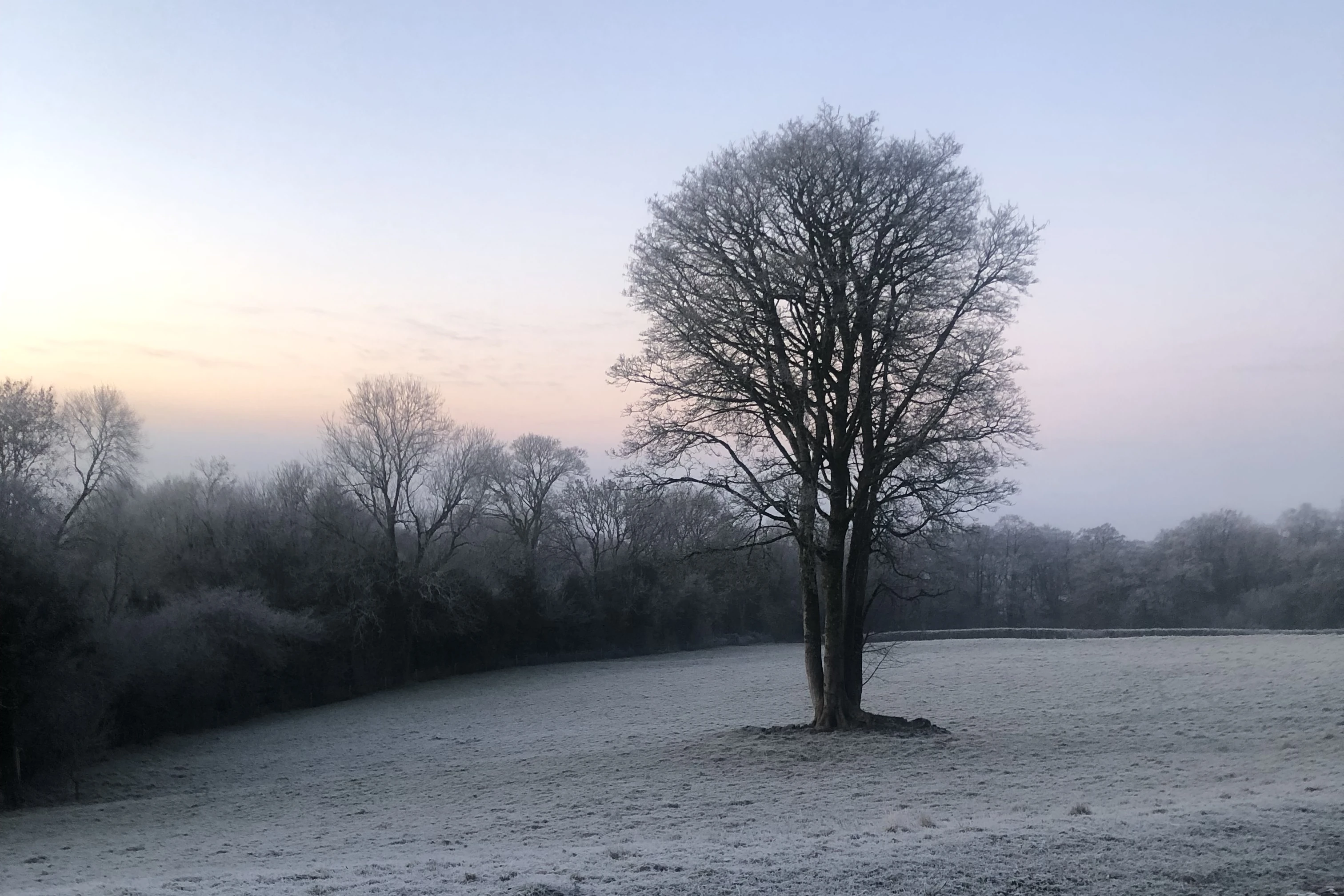 Cleve Farm in winter